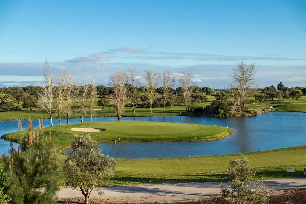 diferencia entre golf y pitch and putt